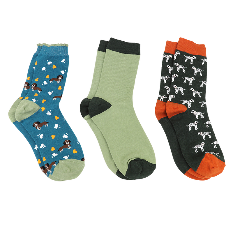 Dog Sock Box | Set of 3