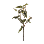 Faux Begonia Rex Stem | Vert