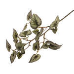 Faux Begonia Rex Stem | Vert