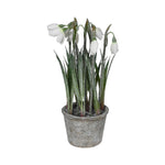 Faux Glitter Snowdrop Bulbs in Pot