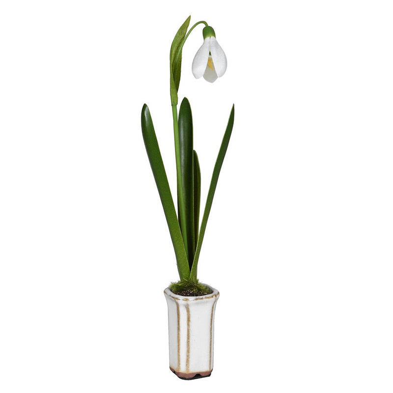 Faux Snowdrop Bulb in Ceramic Pot | 12cm