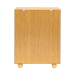 Geo Retro 2 Door Cupboard | Natural