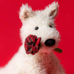 Munro Scottie Dog 'Love You' Soft Toy