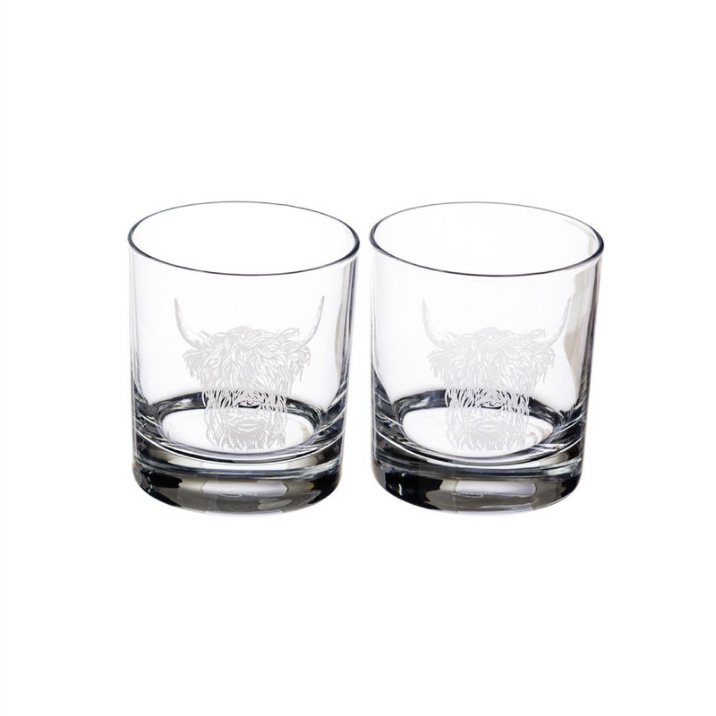 Highland Cow Glass Tumblers | Set of 2